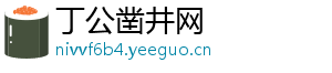 丁公凿井网